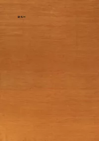 Orange Wool Gabbeh Oriental Area Rug 6x10