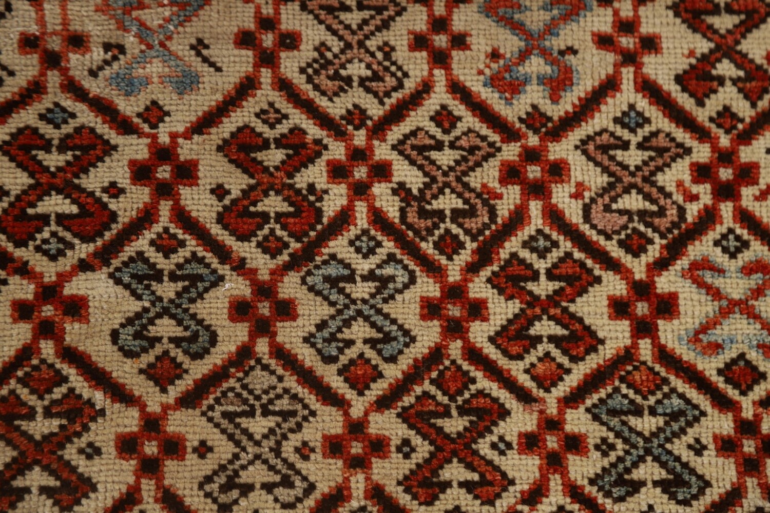 Pre-1900 Antique Vegetable Dye Shirvan Oriental Area Rug 3x6