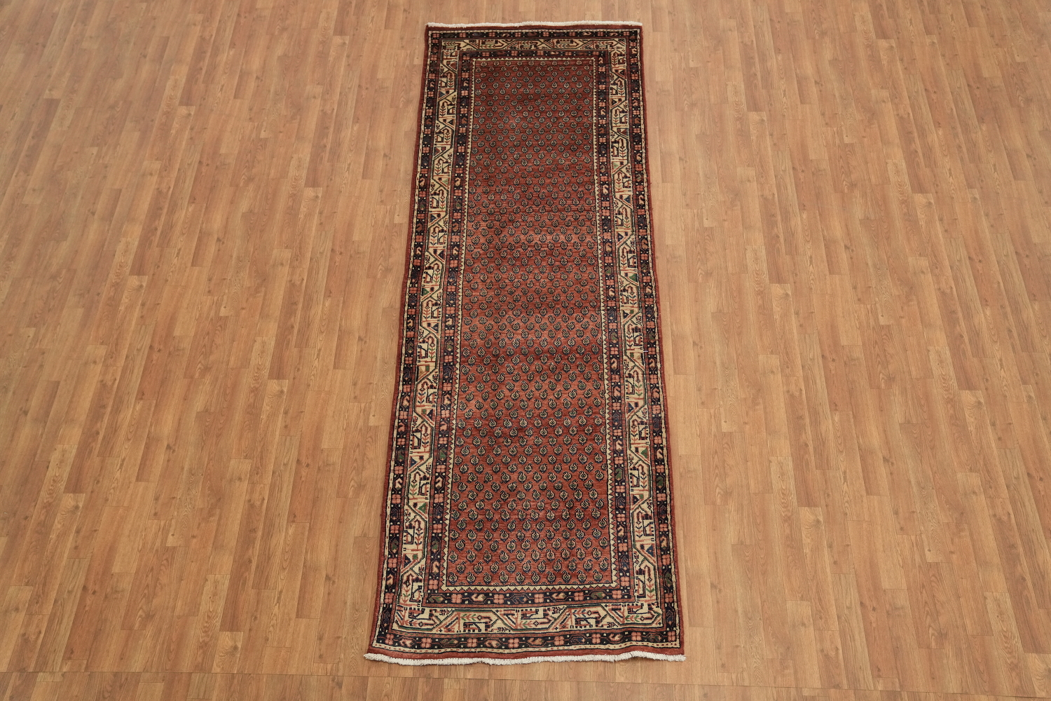 Boteh Botemir Persian Runner Rug 3x10