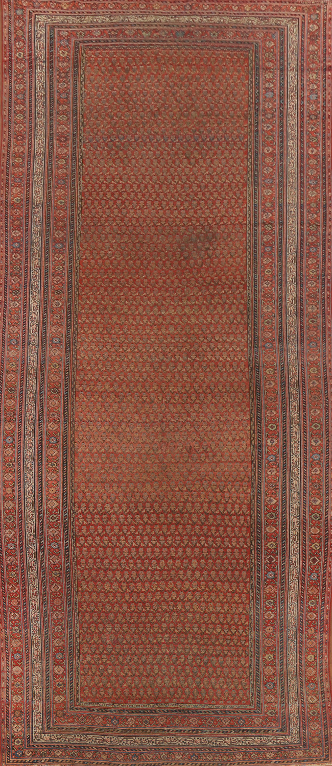 Pre-1900 Antique Vegetable Dye Malayer Persian Rug 6x16