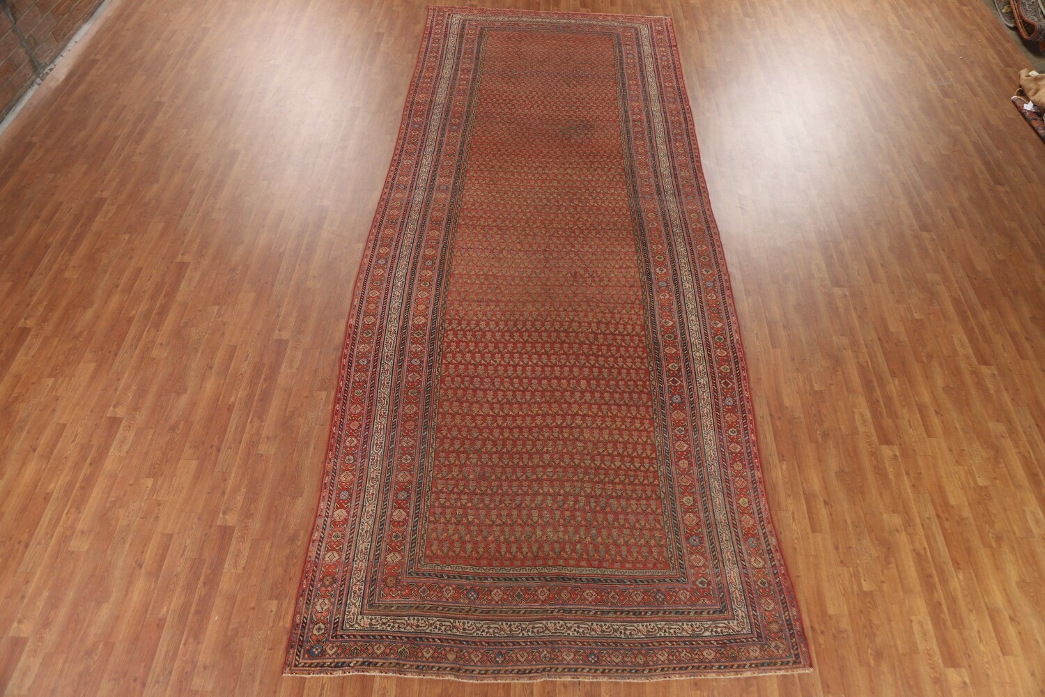 Pre-1900 Antique Vegetable Dye Malayer Persian Rug 6x16