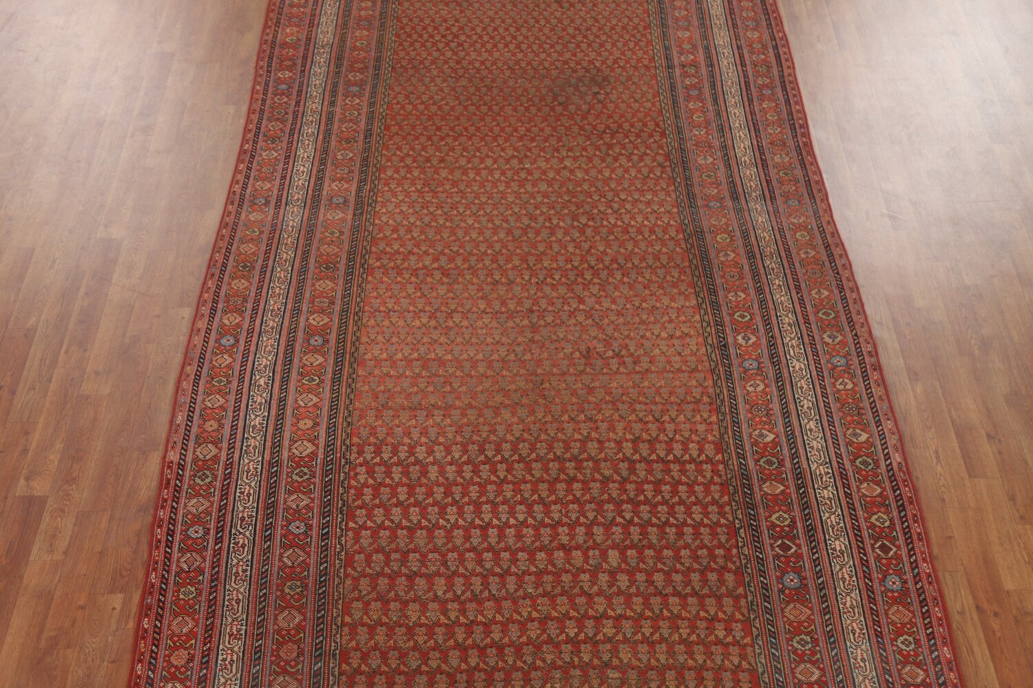 Pre-1900 Antique Vegetable Dye Malayer Persian Rug 6x16