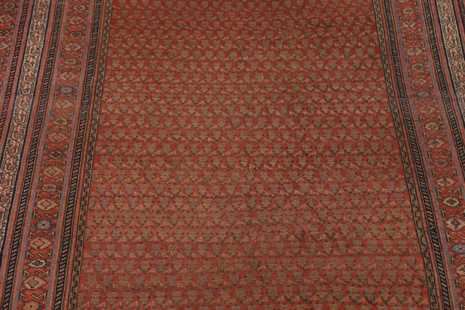 Pre-1900 Antique Vegetable Dye Malayer Persian Rug 6x16