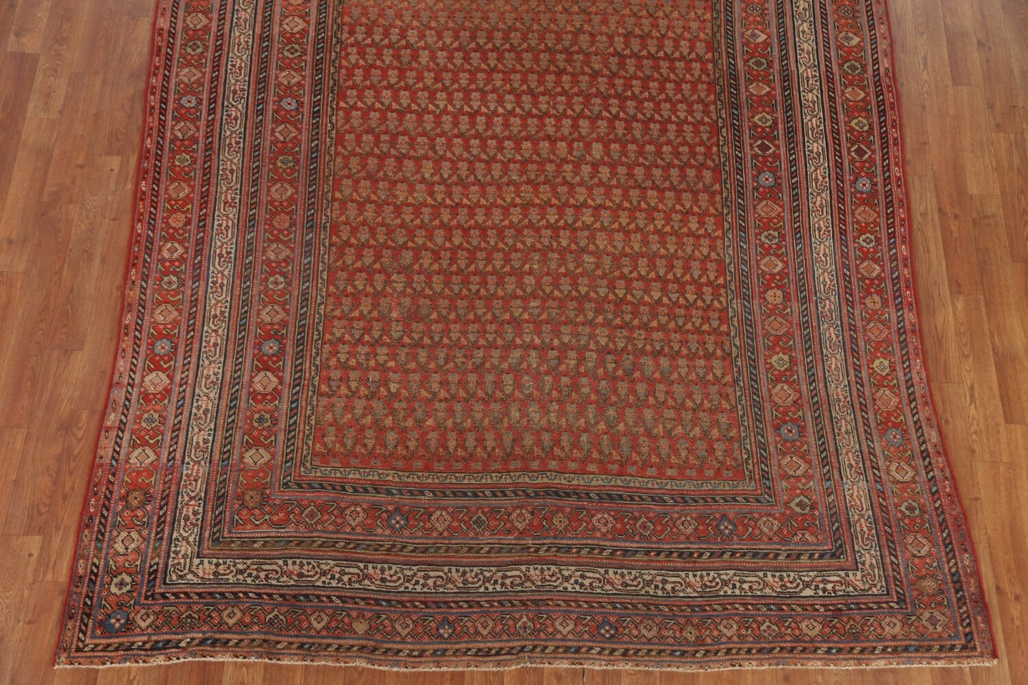 Pre-1900 Antique Vegetable Dye Malayer Persian Rug 6x16