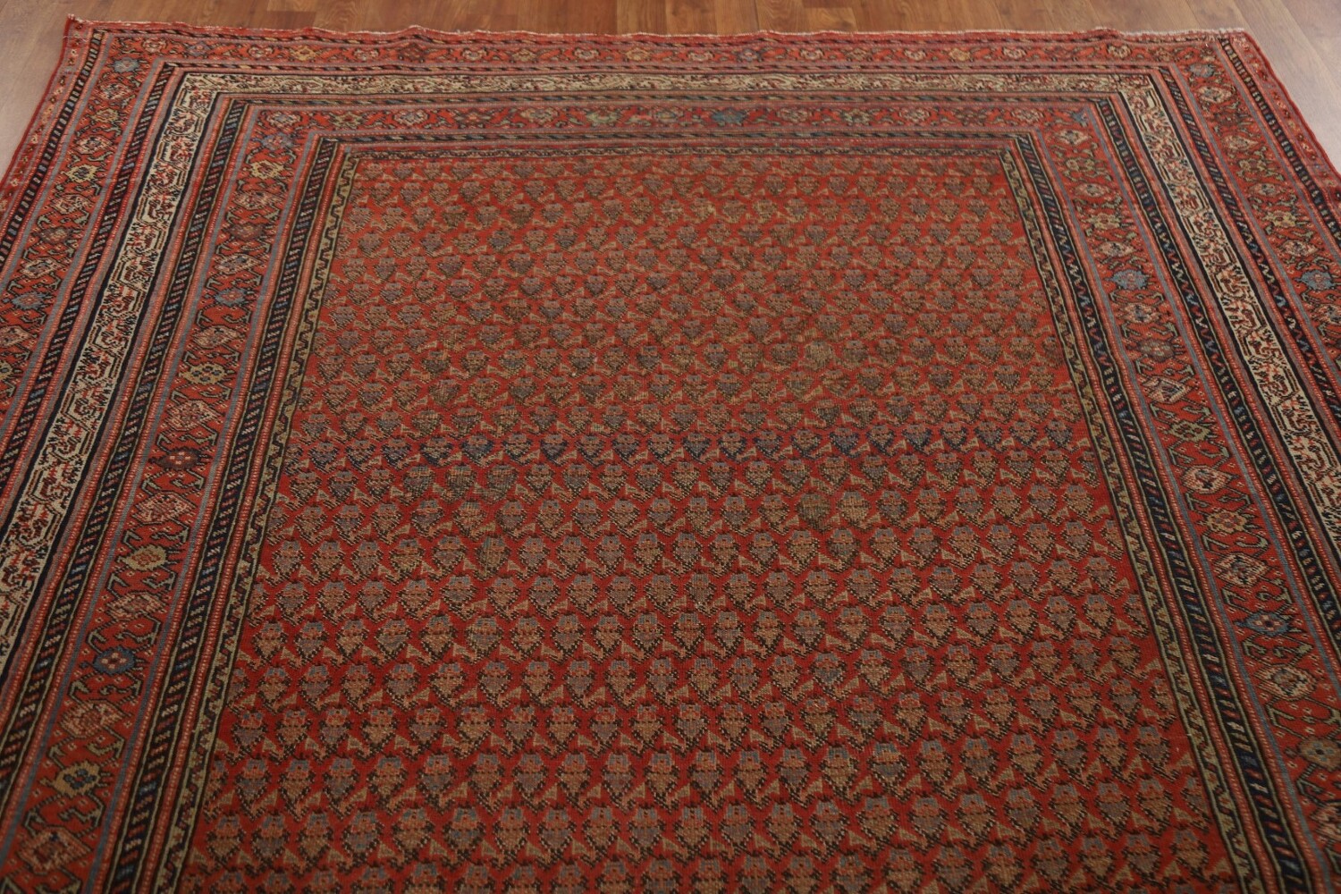 Pre-1900 Antique Vegetable Dye Malayer Persian Rug 6x16