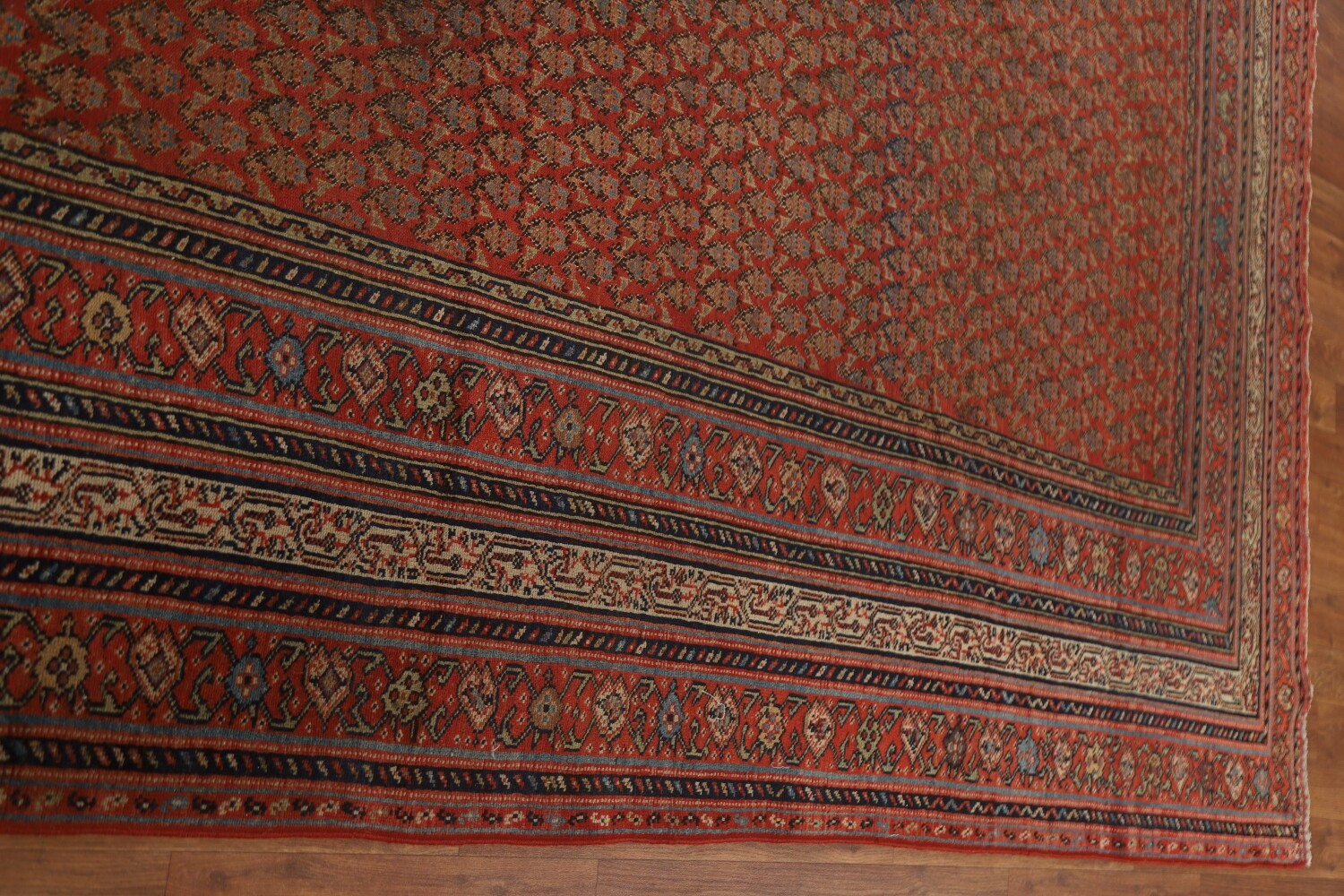 Pre-1900 Antique Vegetable Dye Malayer Persian Rug 6x16