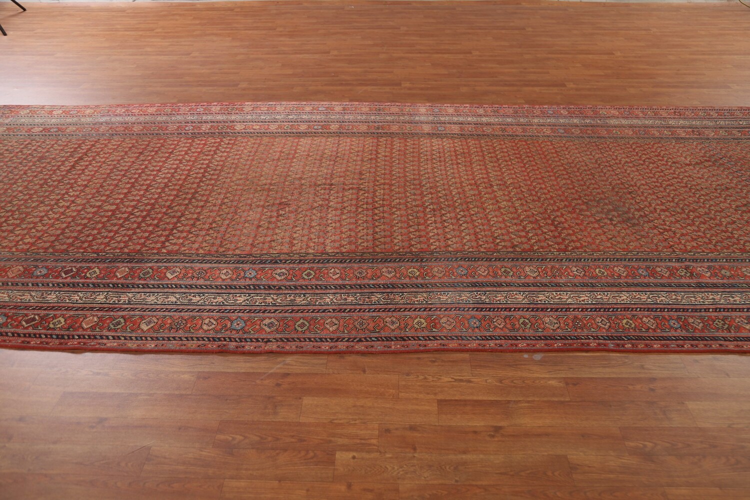 Pre-1900 Antique Vegetable Dye Malayer Persian Rug 6x16