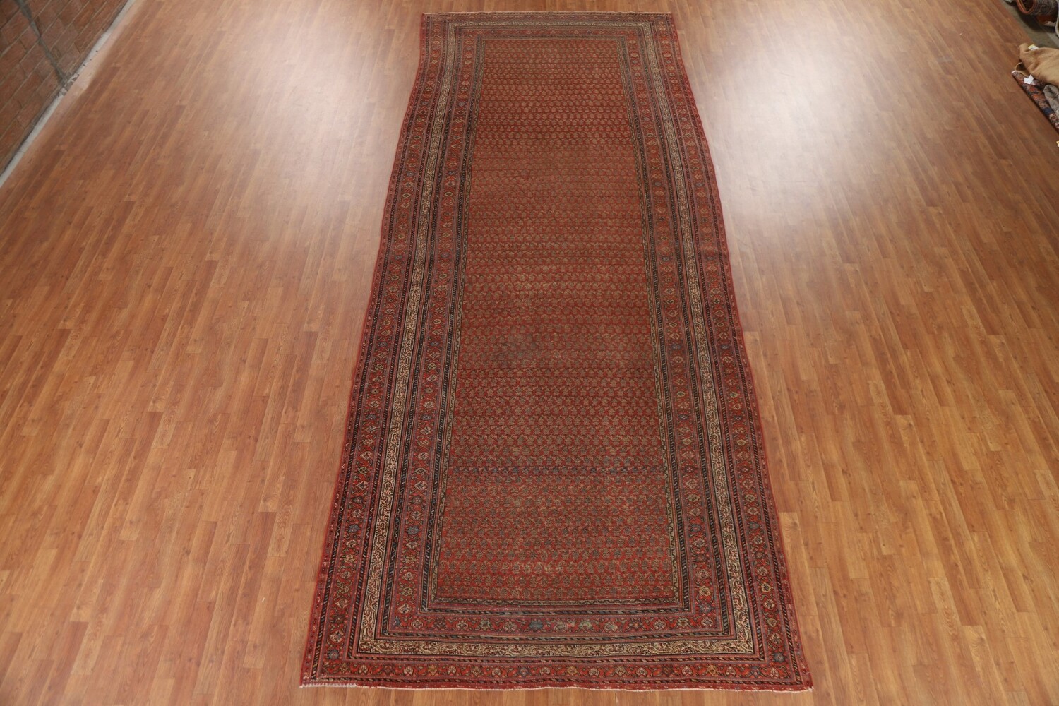 Pre-1900 Antique Vegetable Dye Malayer Persian Rug 6x16