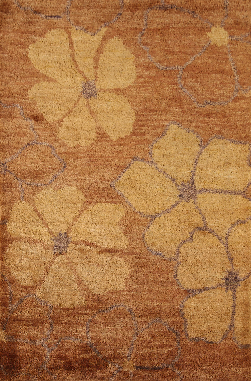 Modern Floral Oriental Area Rug 5x7