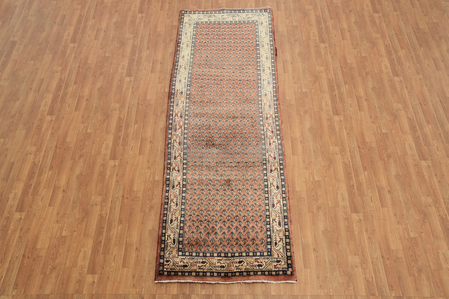 All-Over Botemir Persian Runner Rug 3x10
