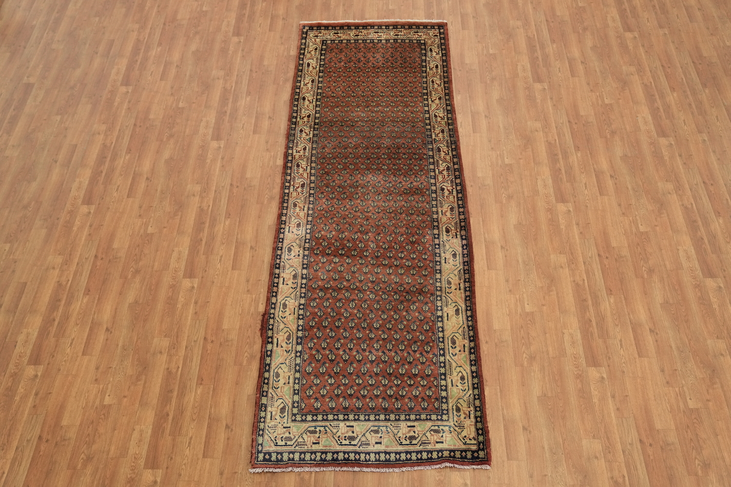 All-Over Botemir Persian Runner Rug 3x10