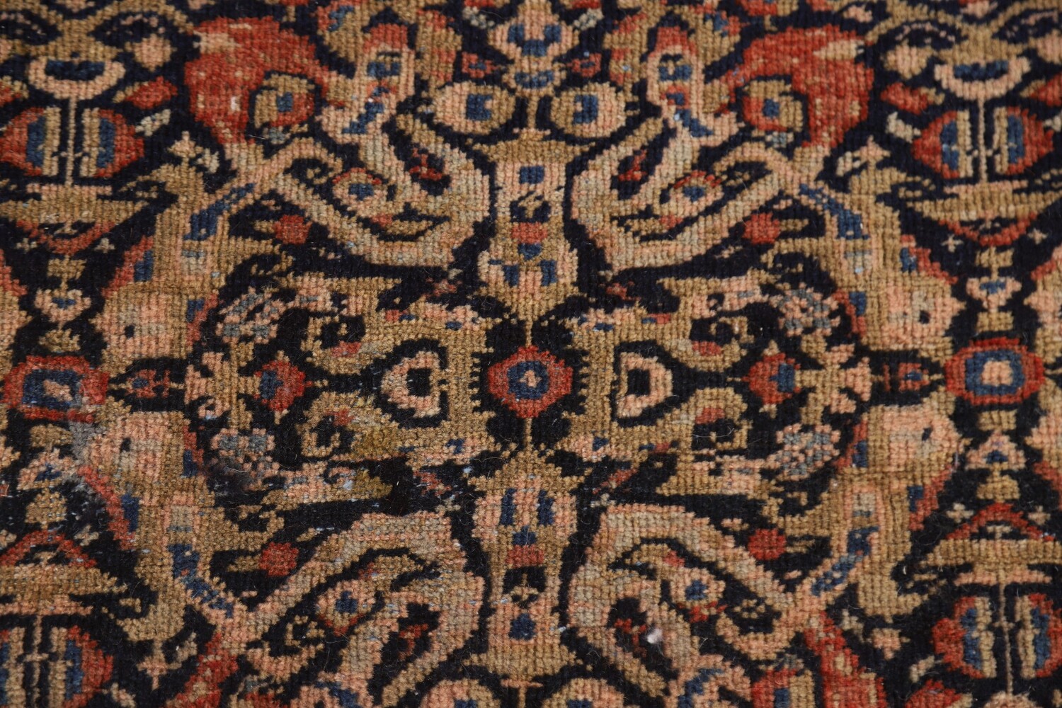 Pre-1900 Antique Vegetable Dye Sarouk Farhan Persian Rug 7x16