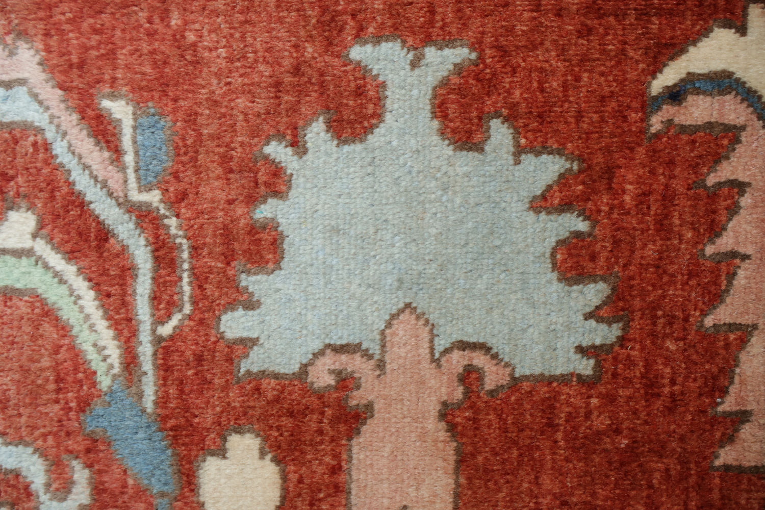 Vegetable Dye Ziegler Oriental Area Rug 9x12