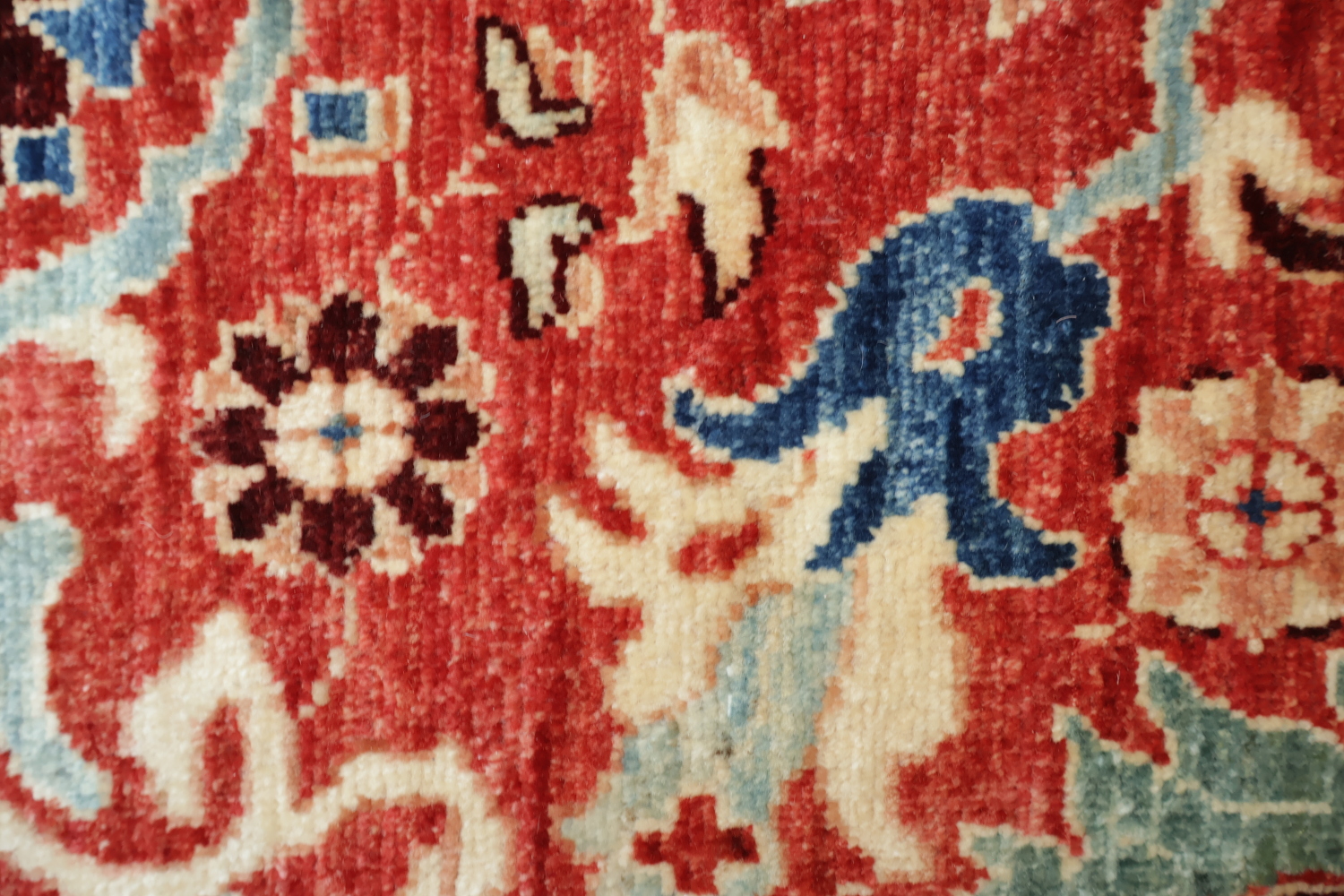Vegetable Dye Ziegler Oriental Area Rug 9x11