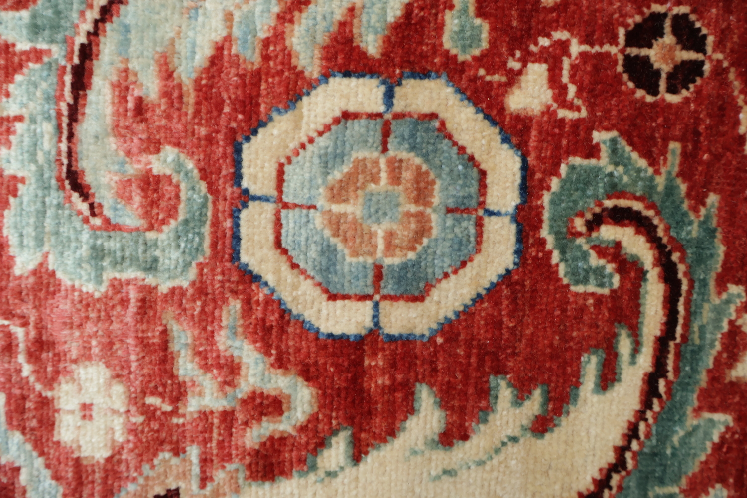 Vegetable Dye Ziegler Oriental Area Rug 9x11