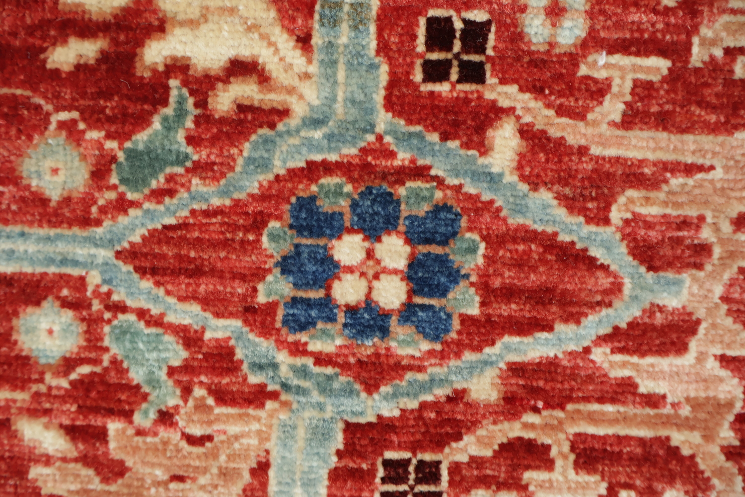 Vegetable Dye Ziegler Oriental Area Rug 9x11