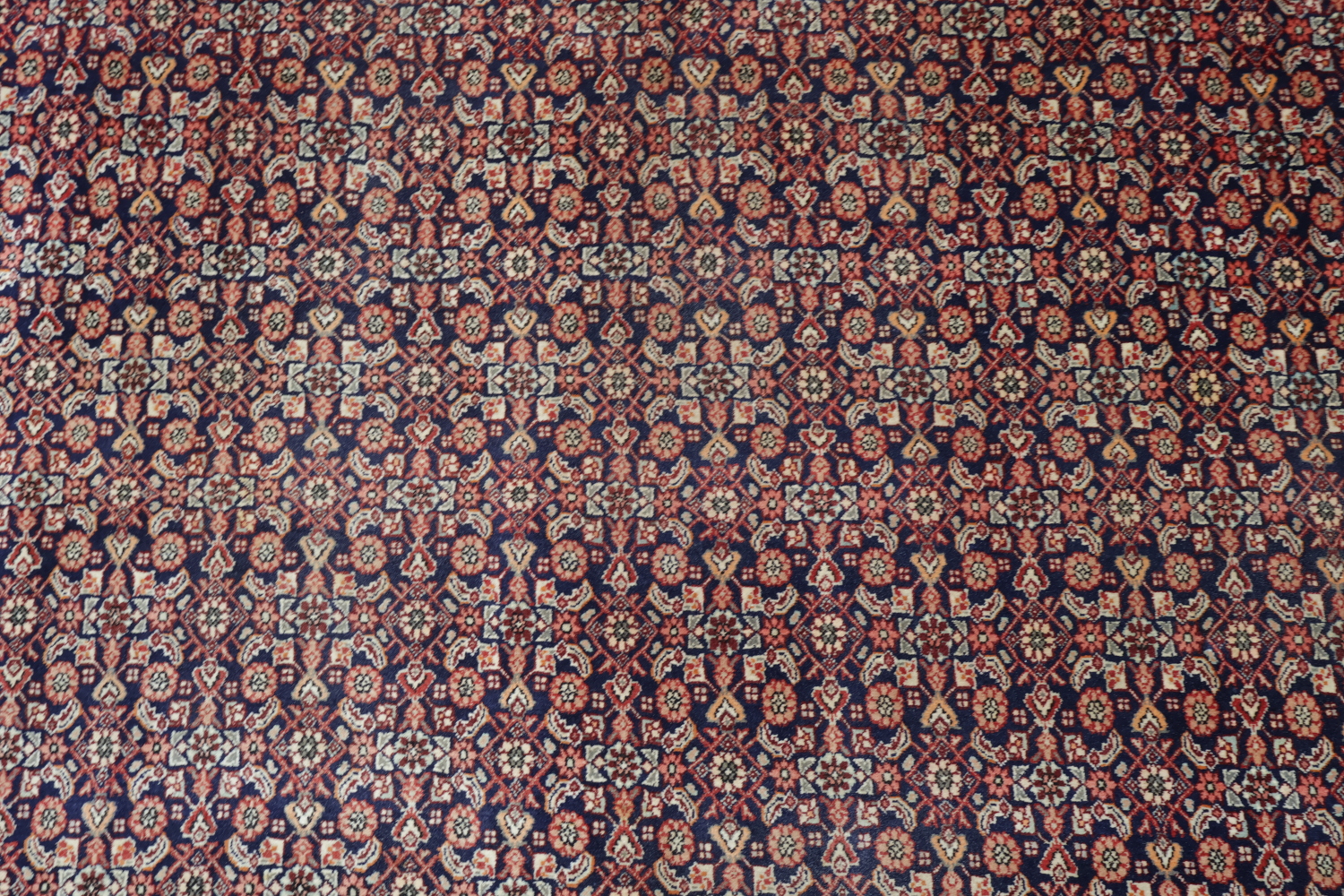 Vegetable Dye Navy and Red Bidjar Persian Area Rug 8x11