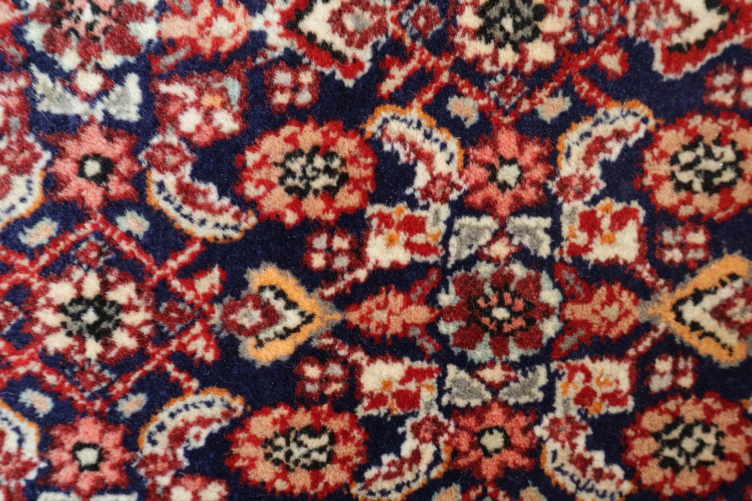 Vegetable Dye Navy and Red Bidjar Persian Area Rug 8x11
