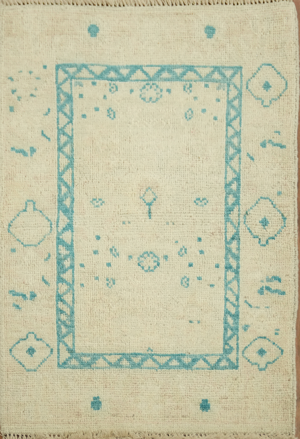 Handmade Oushak Vegetable Dye Rug 2x3