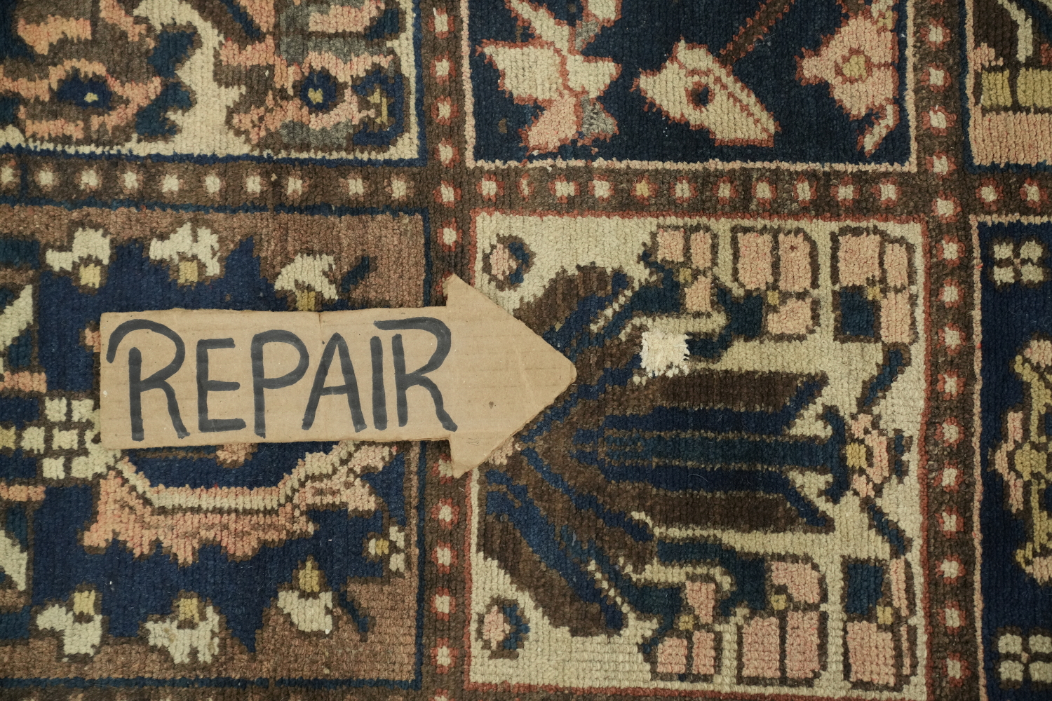 Garden Design Bakhtiari Persian Area Rug 5x10