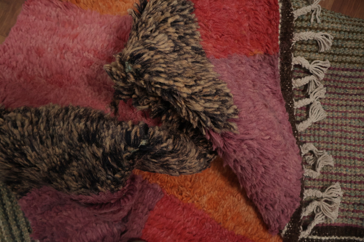 All-Over Plush Moroccan Living Room Area Rug 8x11