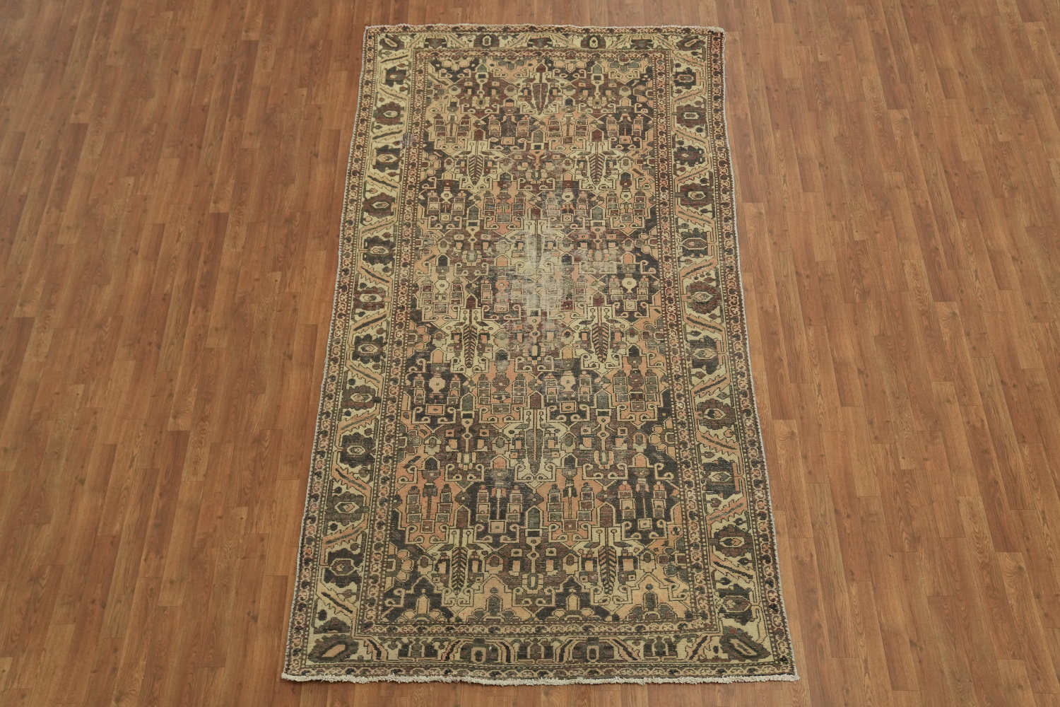 Distressed Bakhtiari Persian Area Rug 5x10
