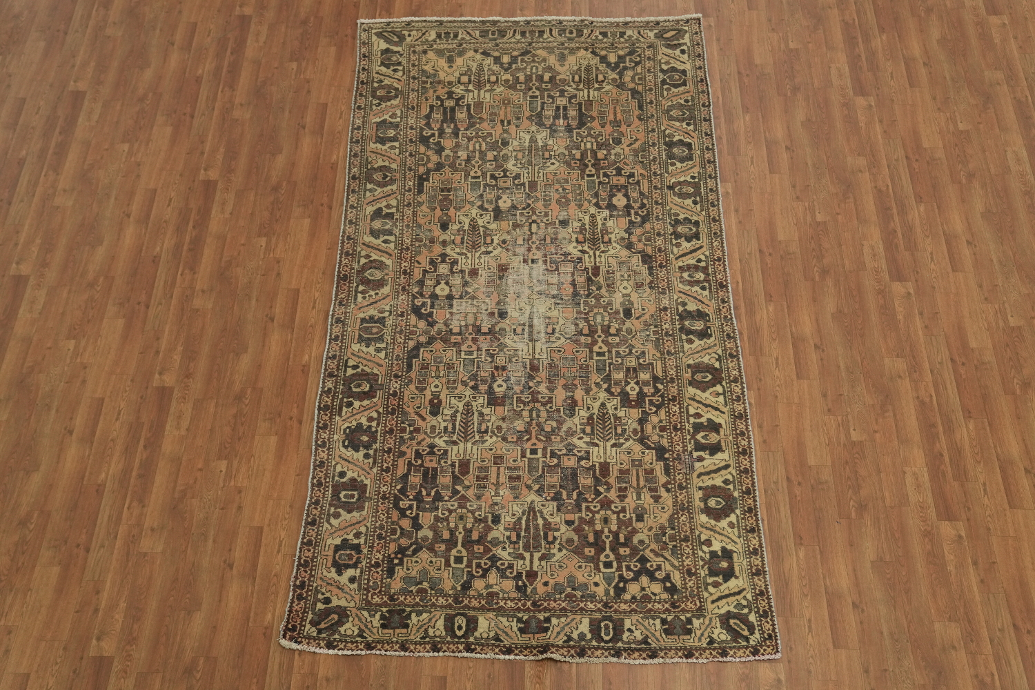 Distressed Bakhtiari Persian Area Rug 5x10