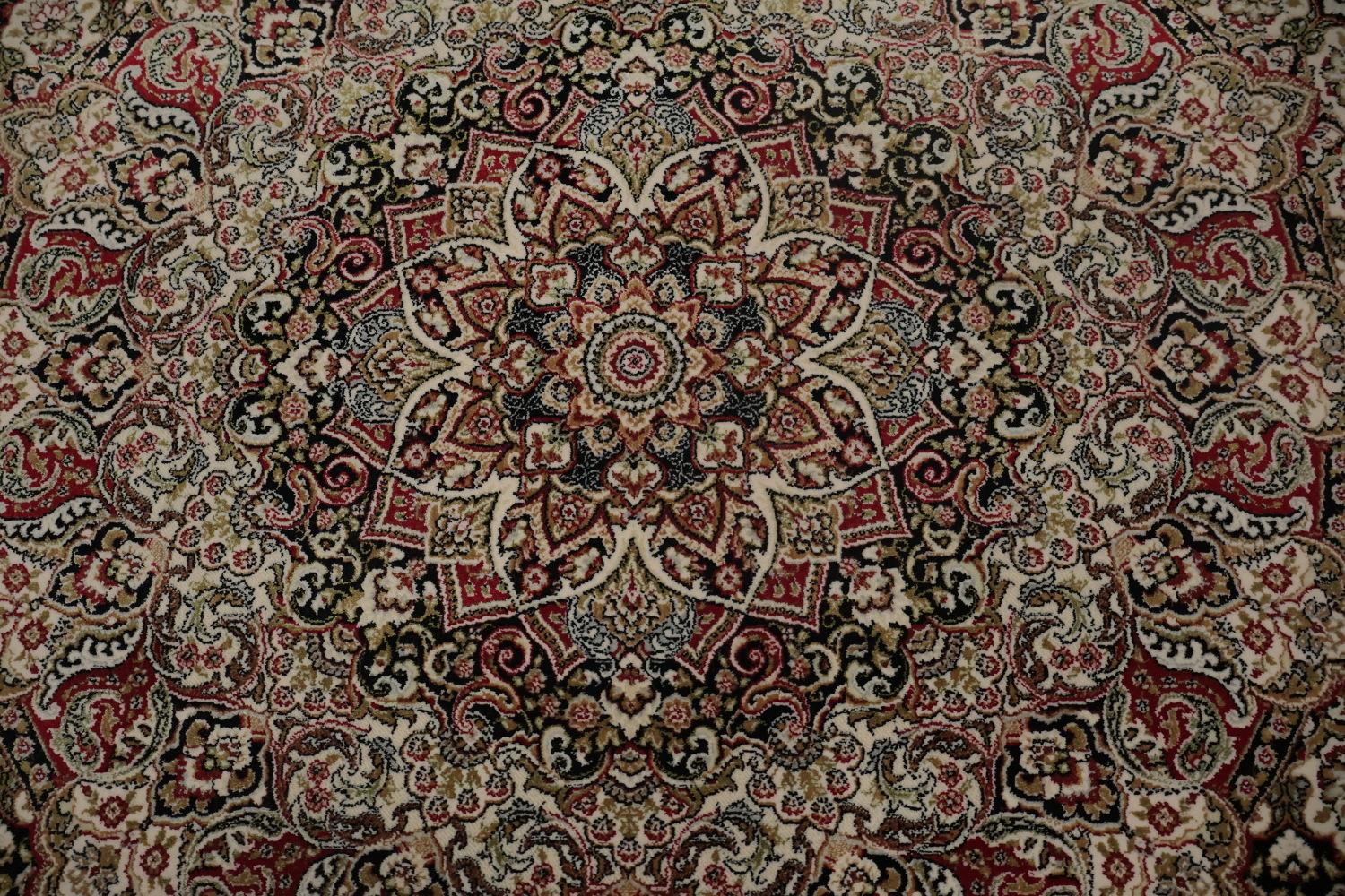 Elegant Traditional Paisley Design Rug with Intricate Patterns 7x10