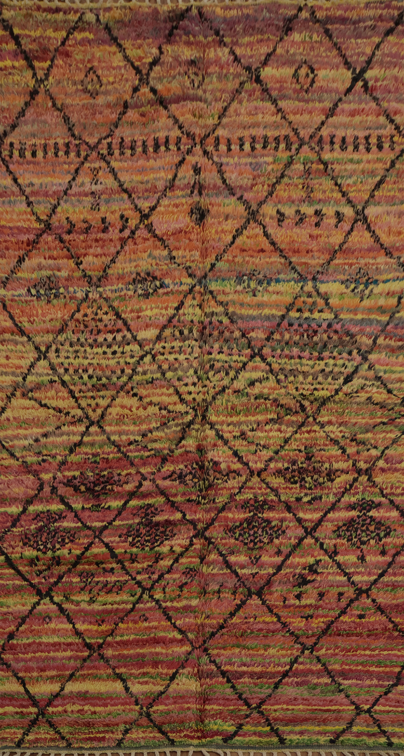 Trellis Wool Moroccan Oriental Area Rug 5x9