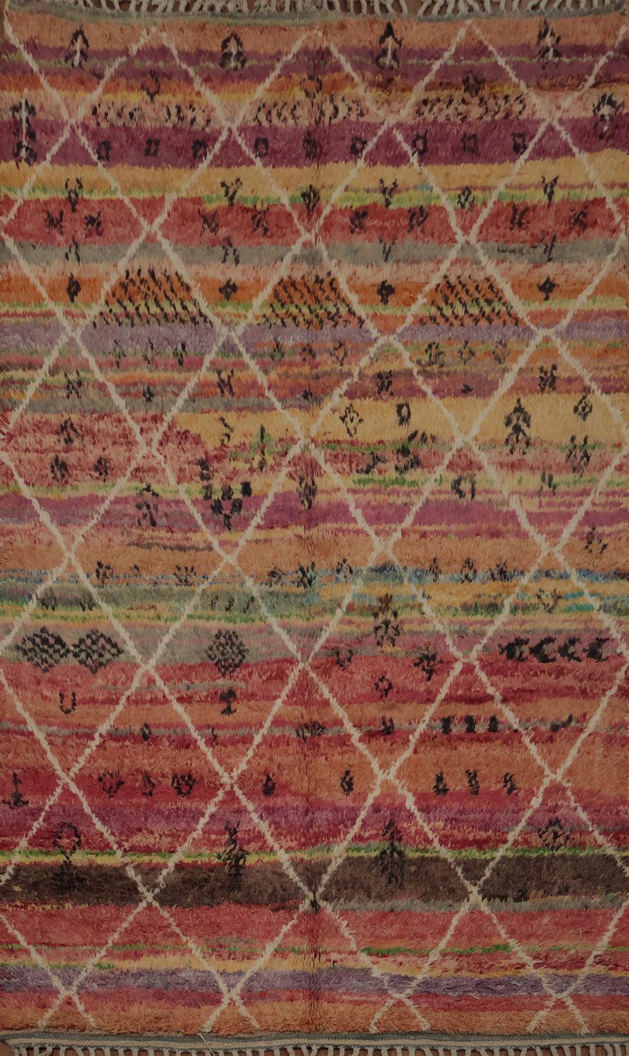 Colorful Trellis Moroccan Oriental Area Rug 5x9