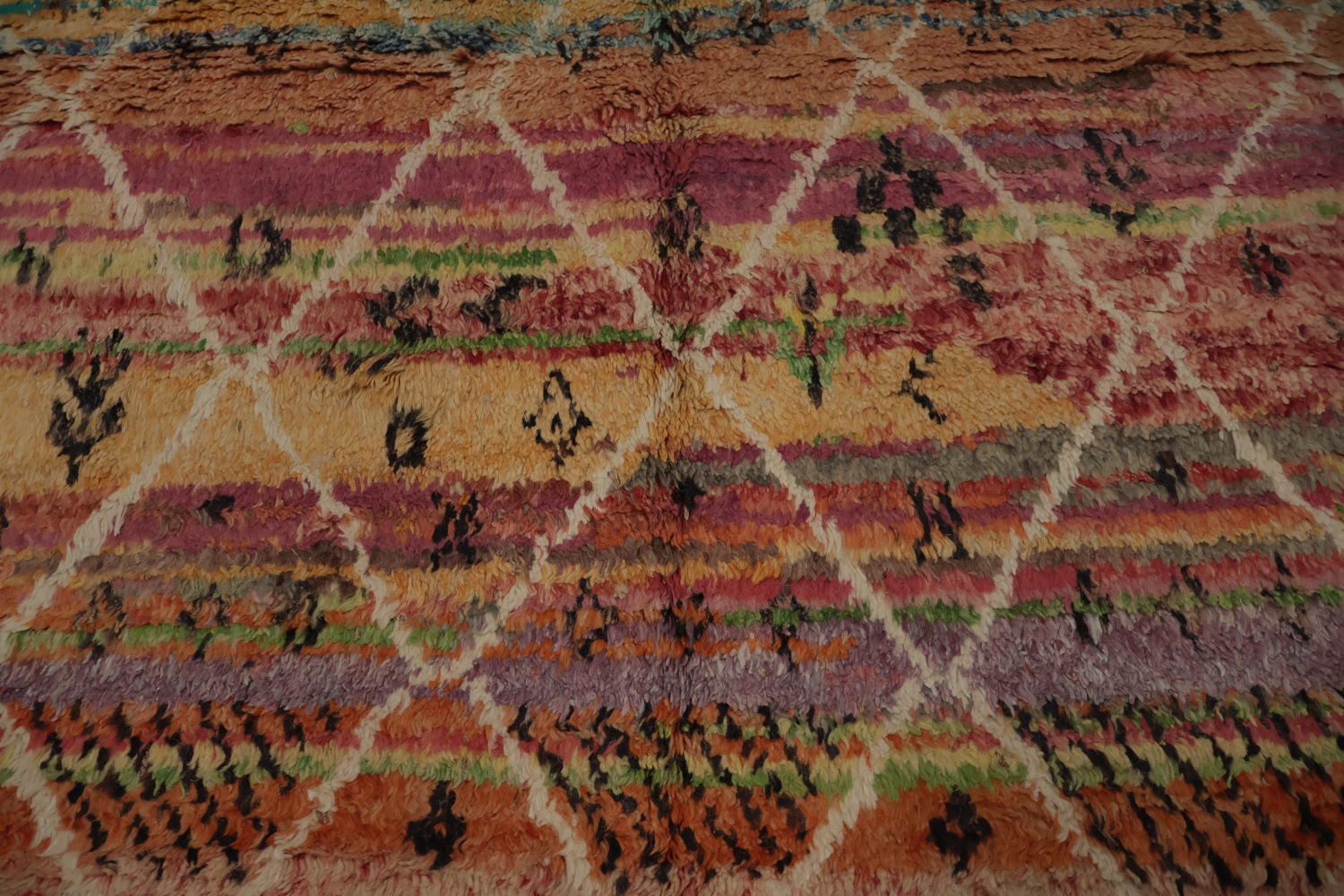 Colorful Trellis Moroccan Oriental Area Rug 5x9