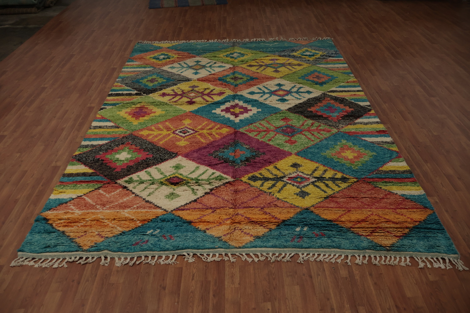 All-Over Trellis Moroccan Oriental Area Rug 9x12