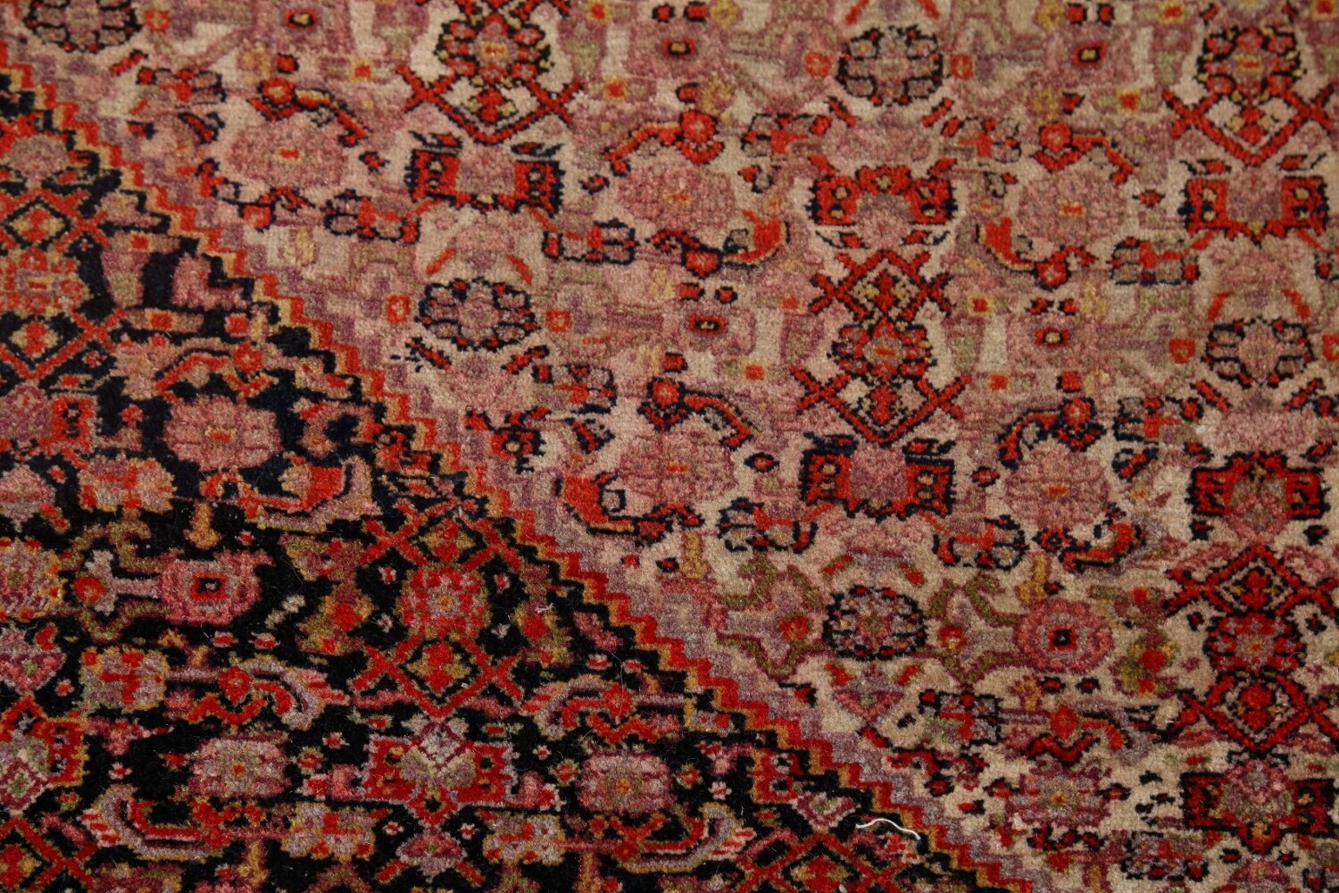 Pre-1900 Vegetable Dye Senneh Haftrang Masterpiece Persian Rug 4x6
