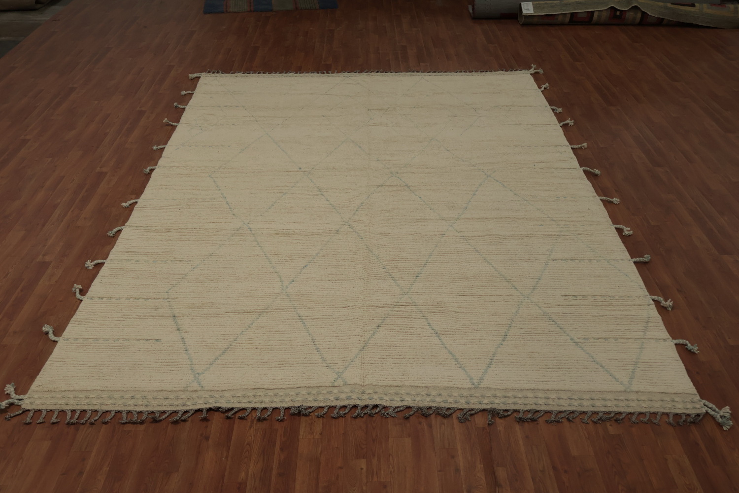 Minimalist Moroccan Area Rug 9x12 with Subtle Geometric Patterns