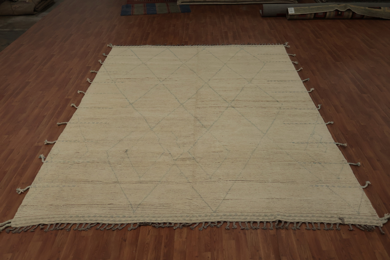 Minimalist Moroccan Area Rug 9x12 with Subtle Geometric Patterns