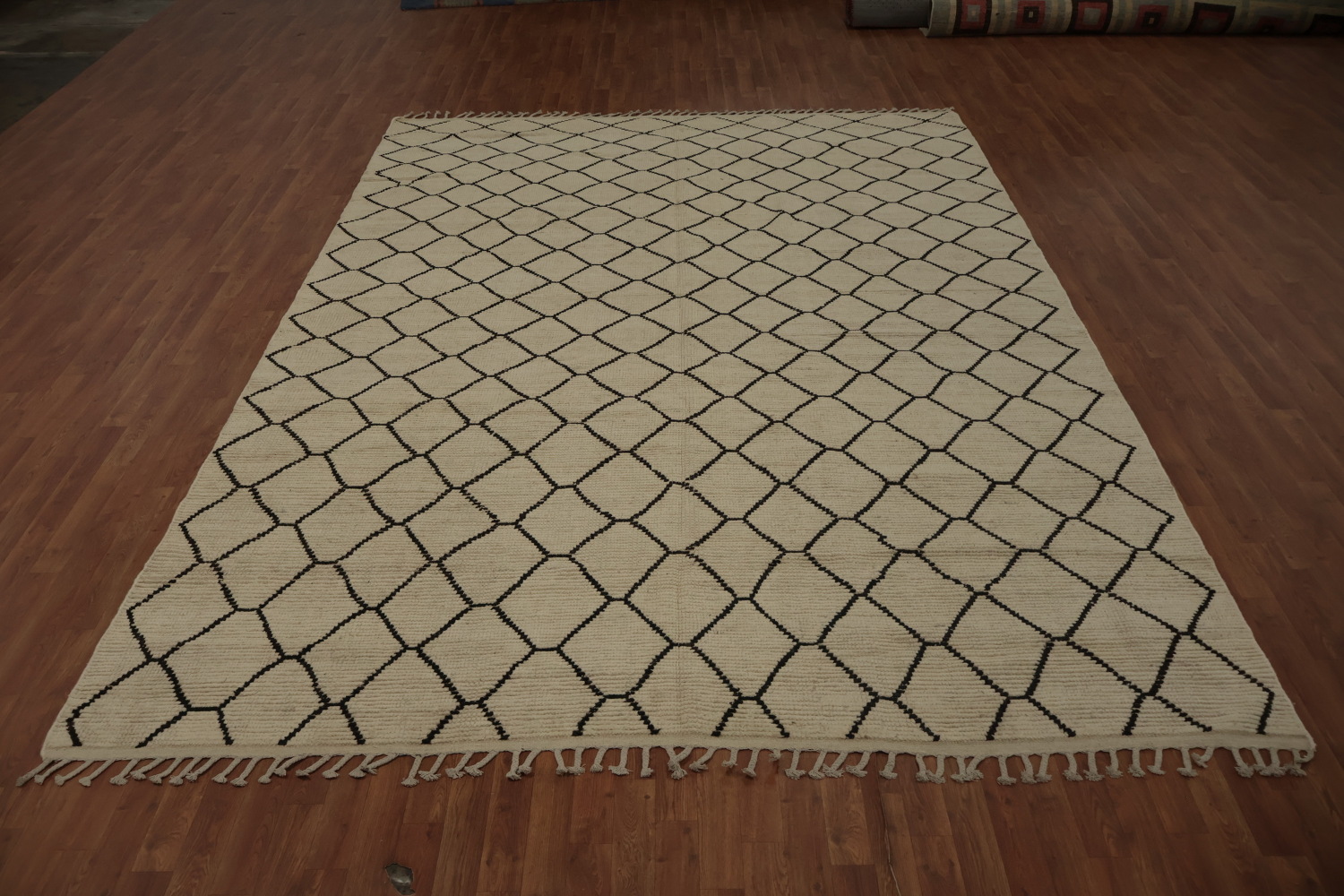 Intricate Trellis-Patterned Moroccan Area Rug 9x13 in Neutral Tones