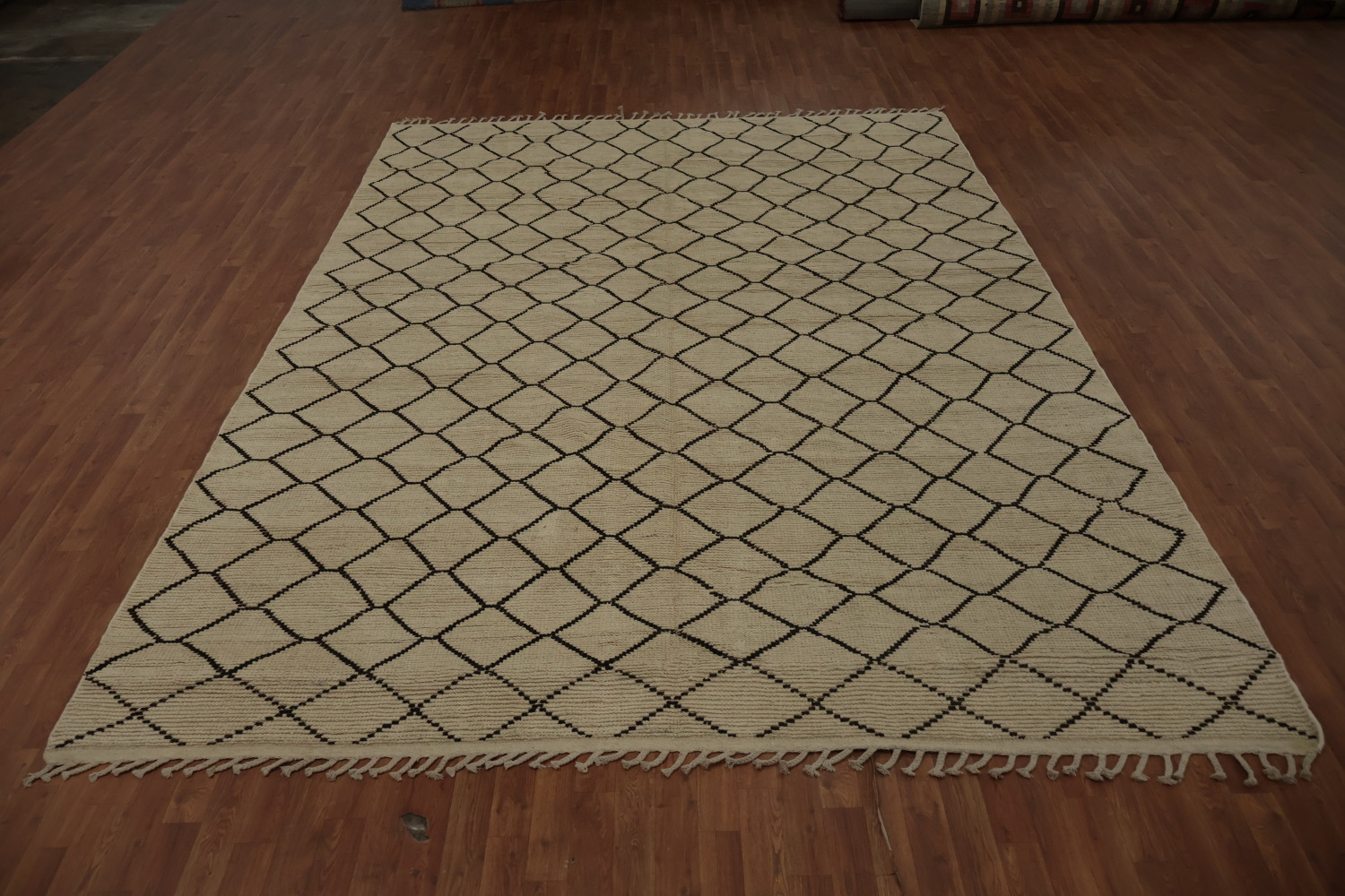 Intricate Trellis-Patterned Moroccan Area Rug 9x13 in Neutral Tones