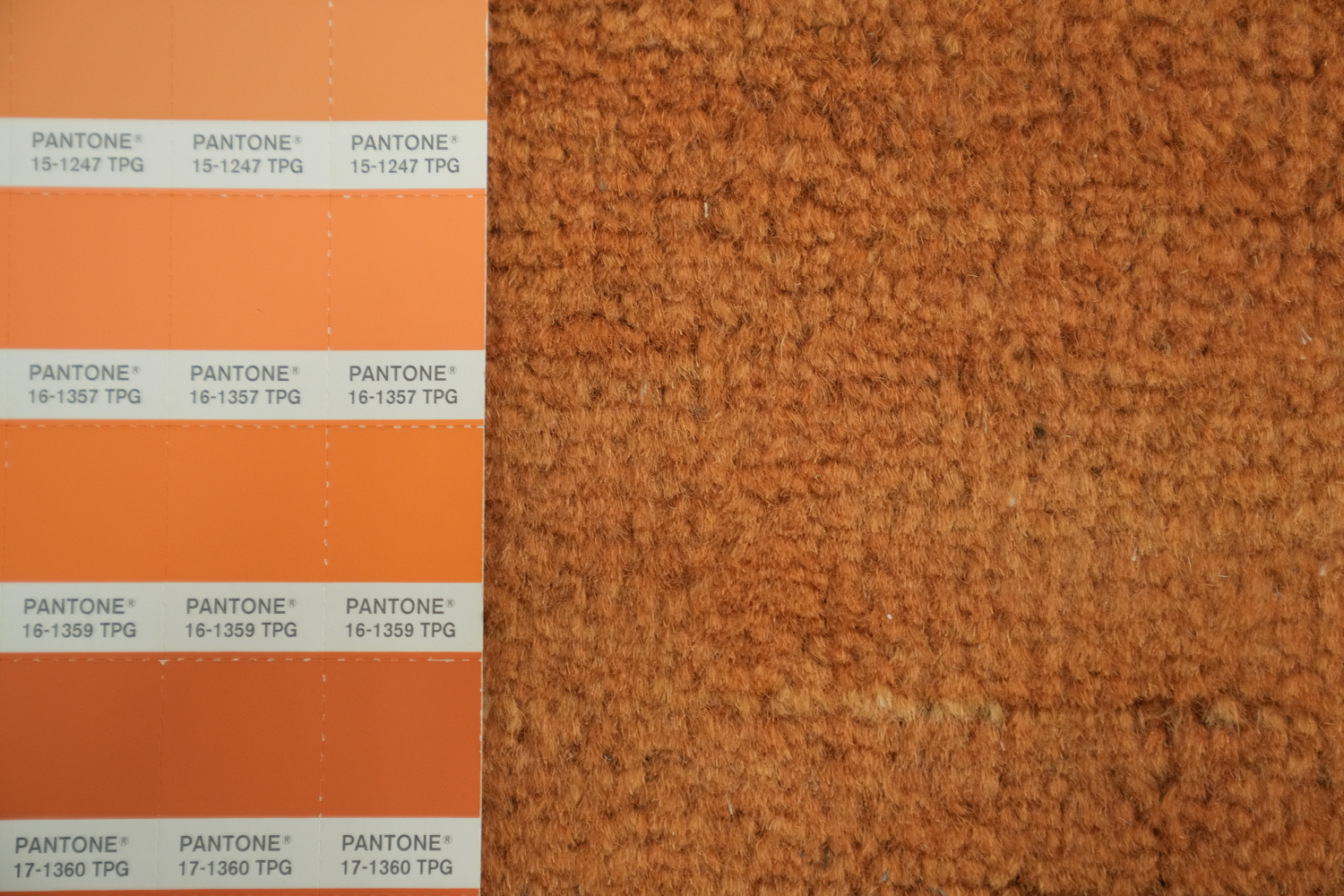 Orange Wool Gabbeh Modern Area Rug 6x10