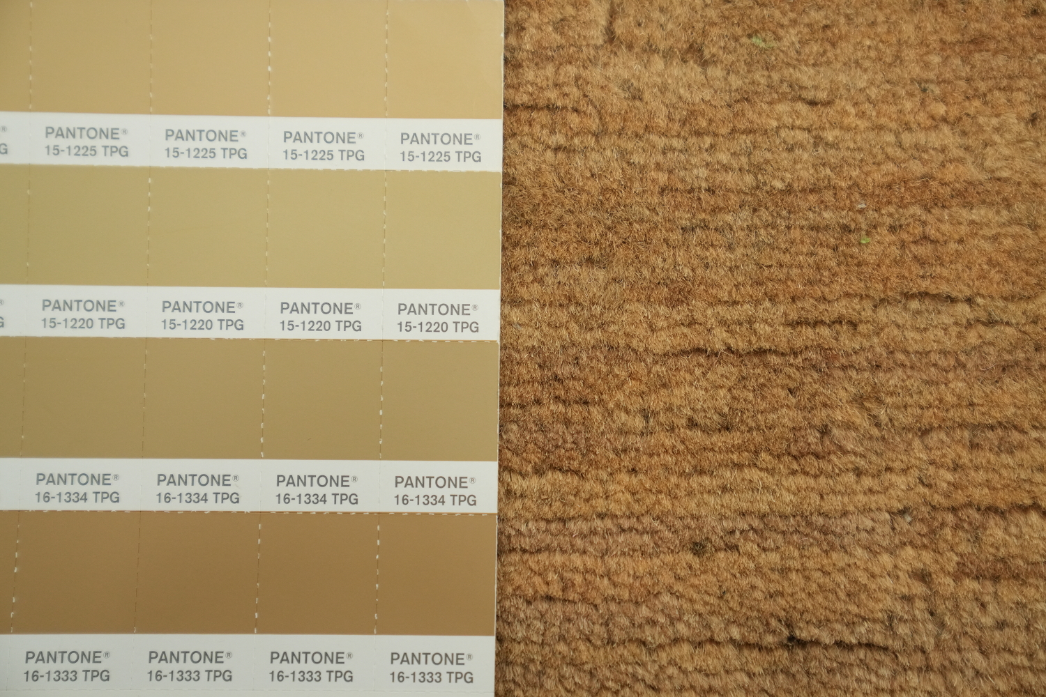 Modern Wool Gabbeh Oriental Area Rug 6x9