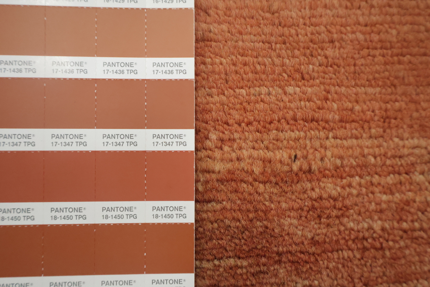 Orange Wool Modern Gabbeh Oriental Area Rug 6x10