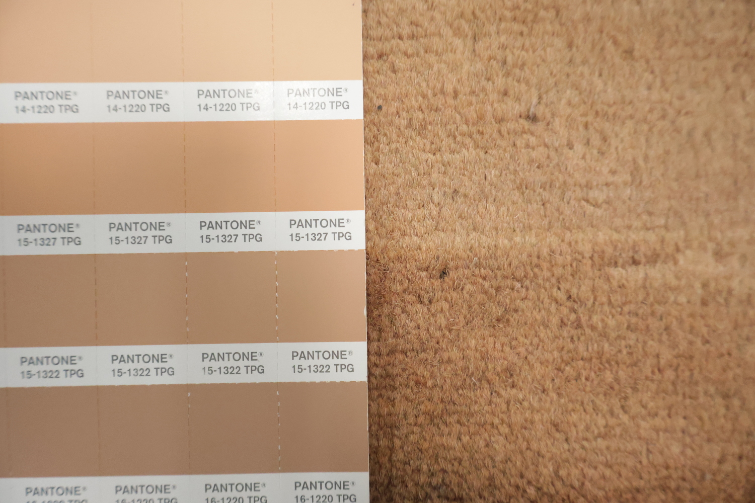Modern Solid Wool Gabbeh Oriental Area Rug 6x10