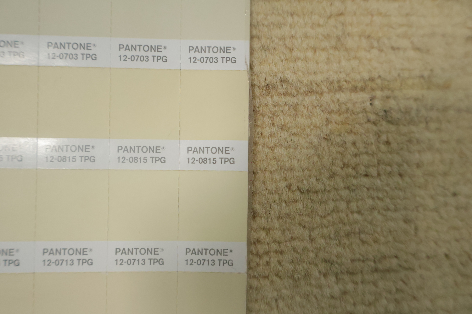 Handmade Wool Solid Gabbeh Modern Rug 5x7