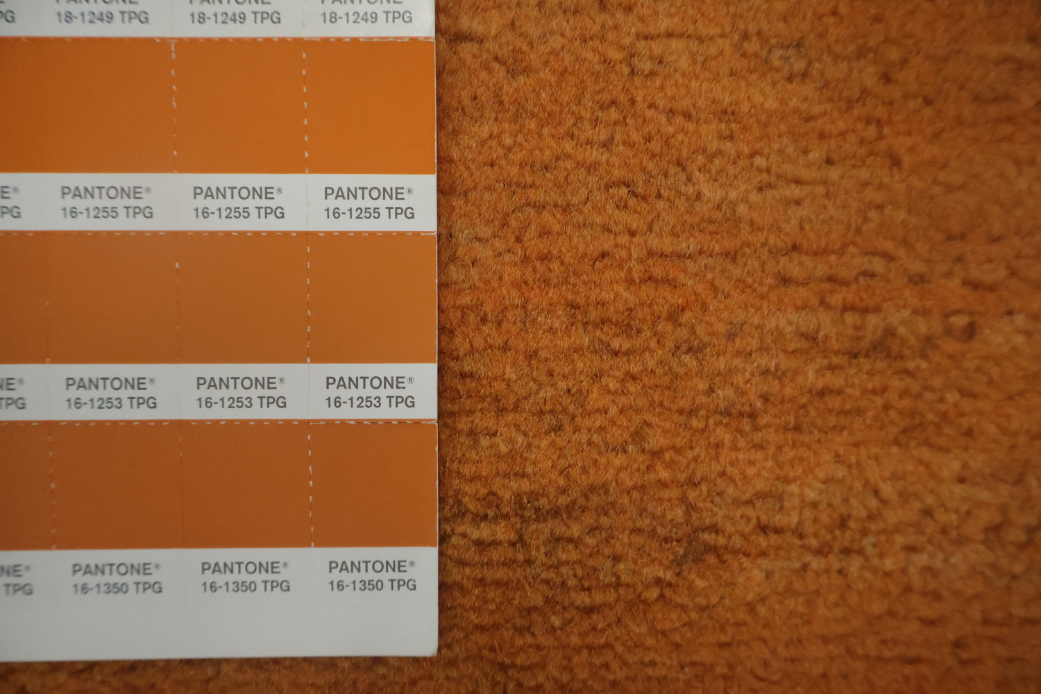 Orange Wool Gabbeh Modern Area Rug 7x10