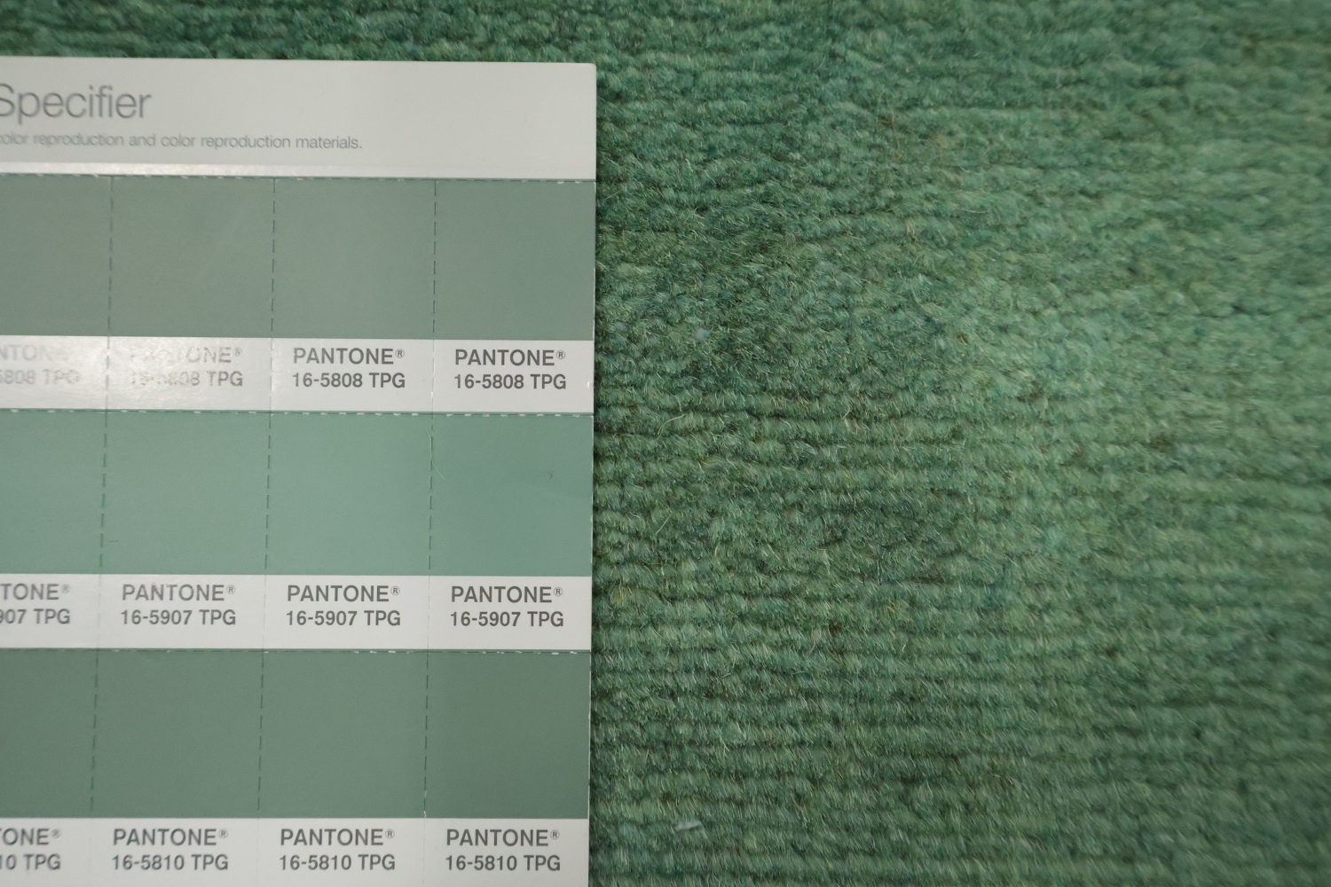 Green Handmade Gabbeh Wool Modern Rug 5x7