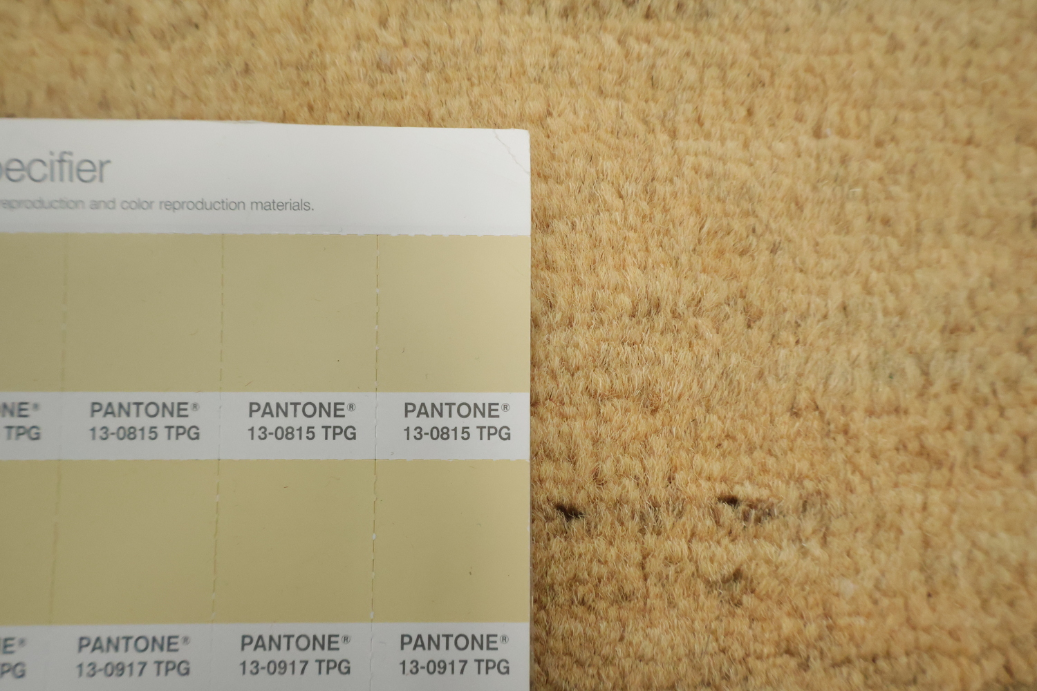 Gold Striped Modern Gabbeh Oriental Rug 5x7