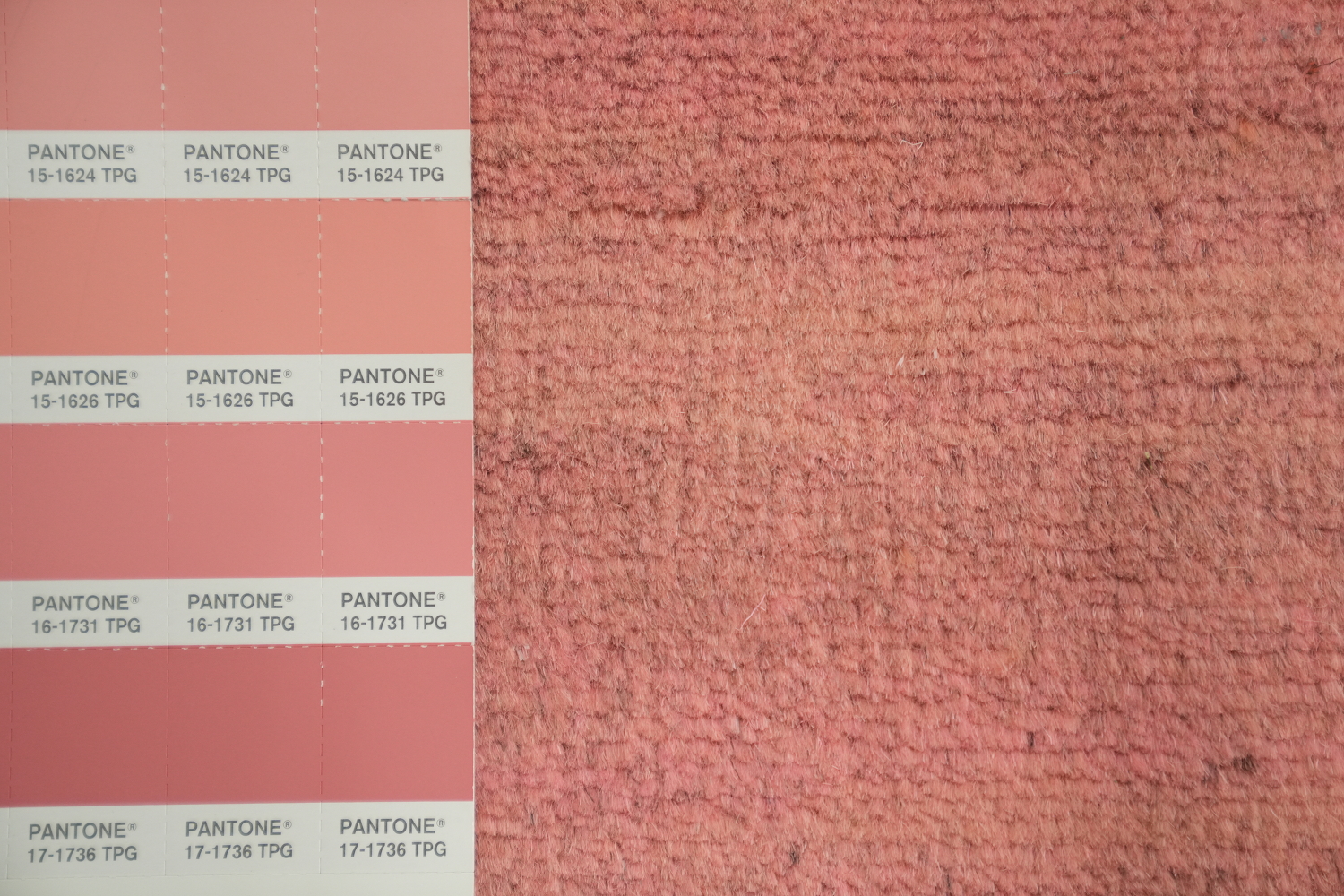 Light Pink Modern Gabbeh Oriental Area Rug 7x9