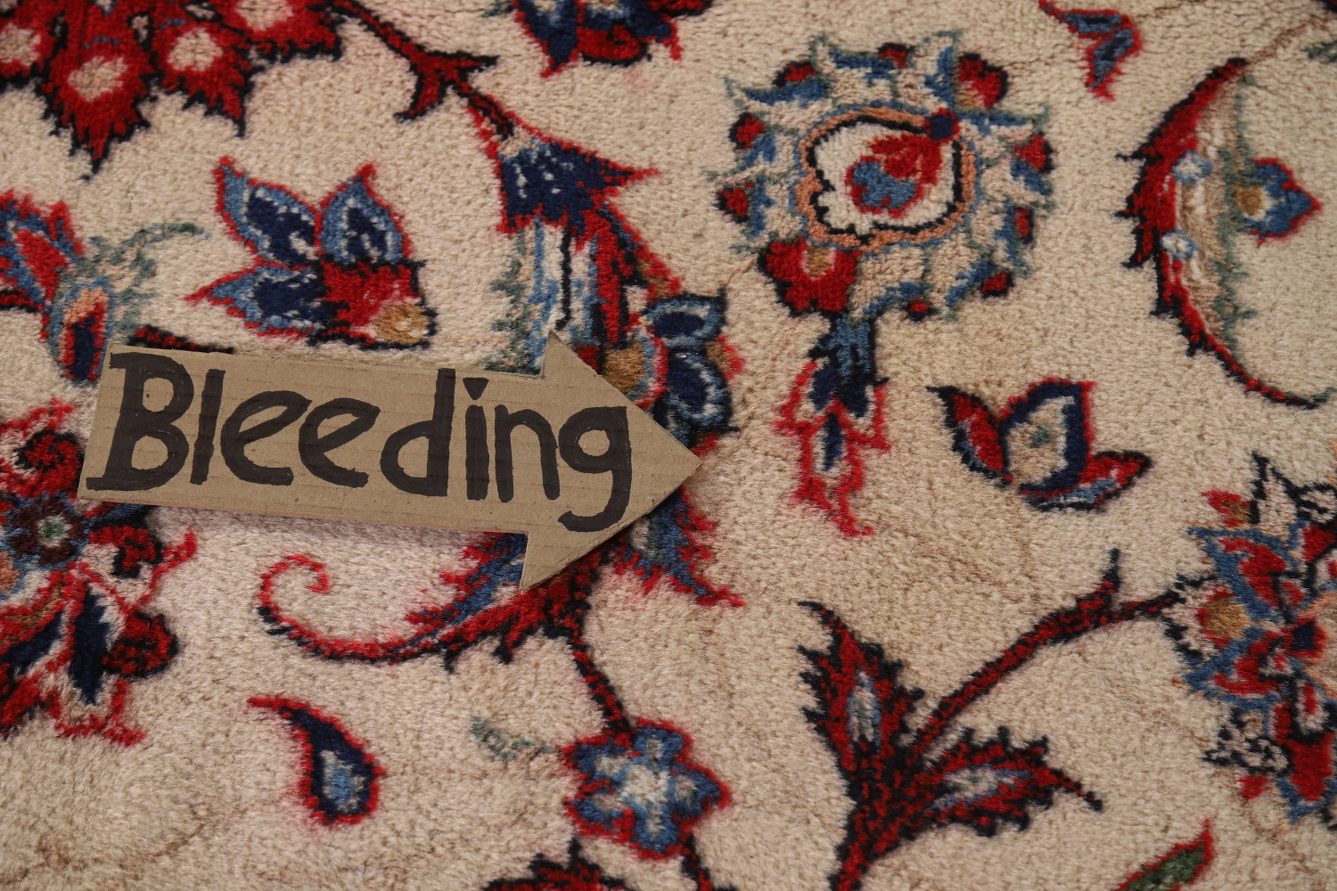 Vegetable Dye Floral Najafabad Persian Area Rug 10x13