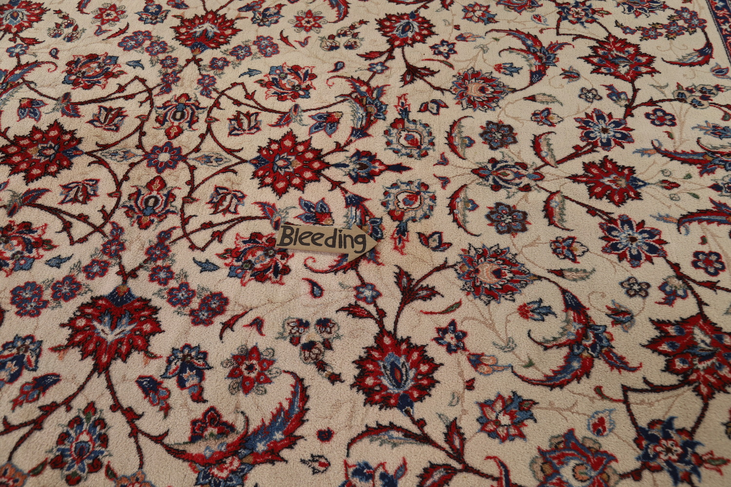 Vegetable Dye Floral Najafabad Persian Area Rug 10x13