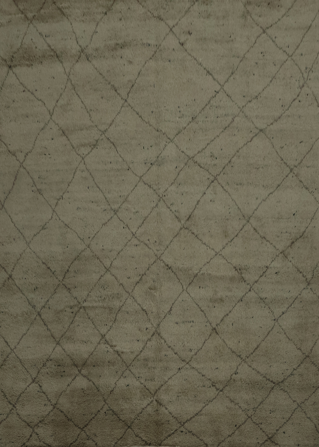 Trellis Moroccan Indian Area Rug 9x9