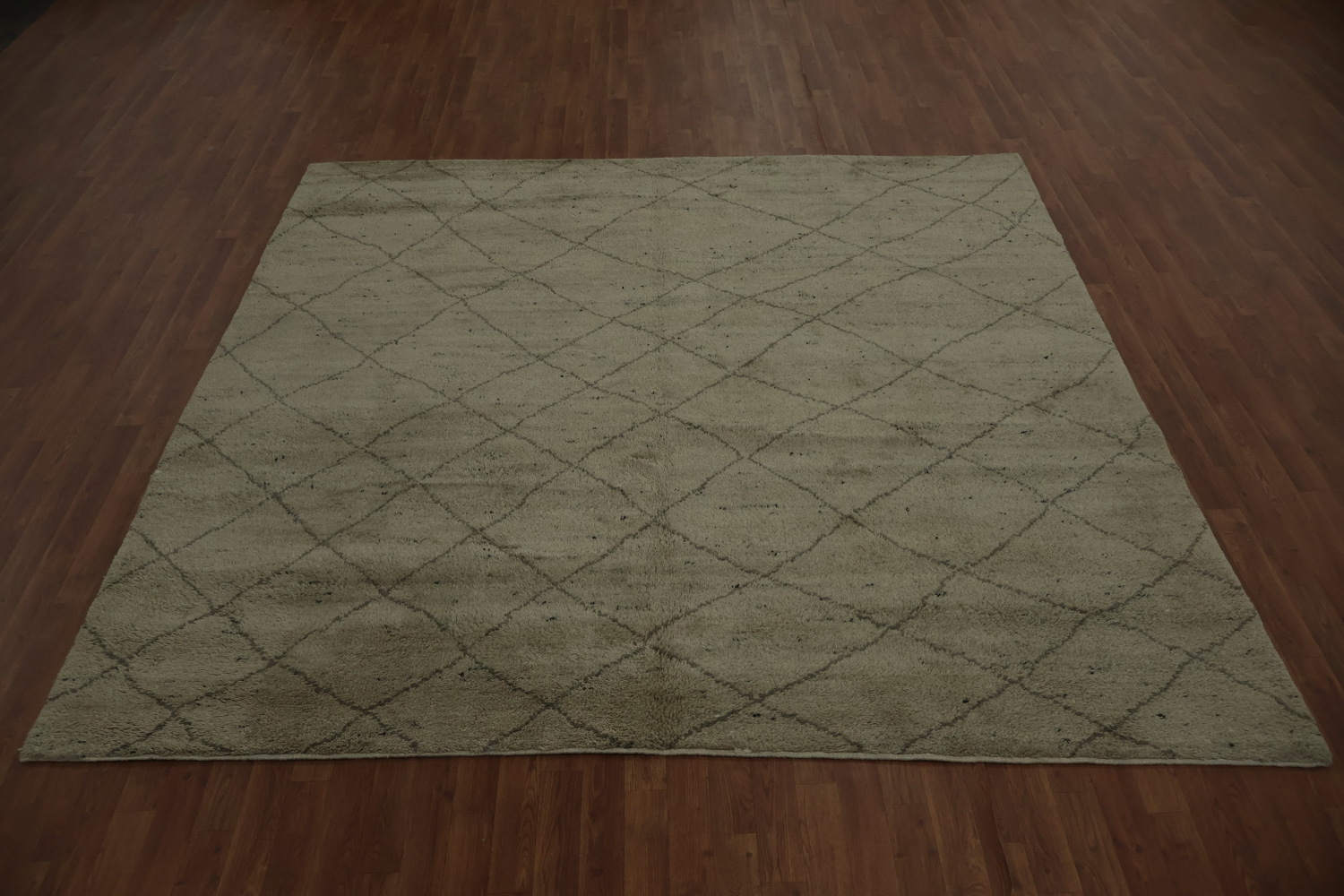 Trellis Moroccan Indian Area Rug 9x9